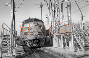 Staff_WP_-_056_R_thumbnail.jpg