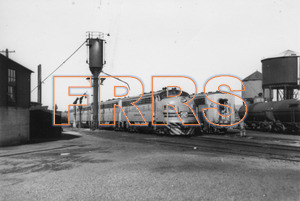 Staff_WP_-_061_R_thumbnail.jpg