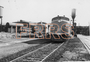 Staff_WP_-_062_R_thumbnail.jpg