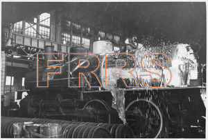 Staff_WP_-_067_R_thumbnail.jpg