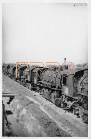 Staff_WP_-_070_R_thumbnail.jpg