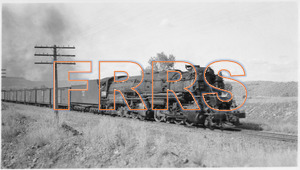 Staff_WP_-_073_R_thumbnail.jpg