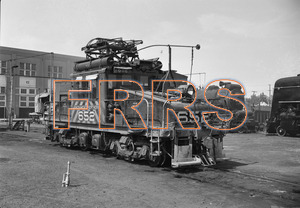 Staff_WP_-_133_R_thumbnail.jpg
