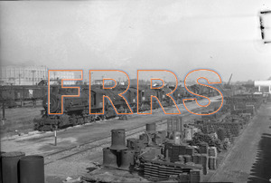 Staff_WP_-_140_R_thumbnail.jpg