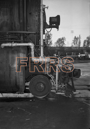 Staff_WP_-_155_R_thumbnail.jpg