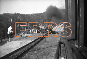 Staff_WP_-_165_R_thumbnail.jpg