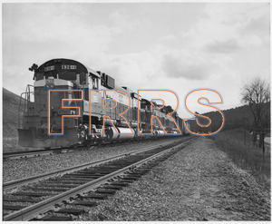 Staff_WP_-_168_R_thumbnail.jpg