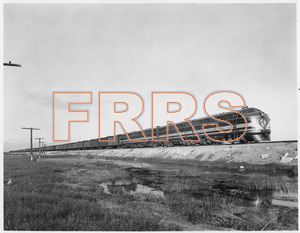 Staff_WP_-_169_R_thumbnail.jpg