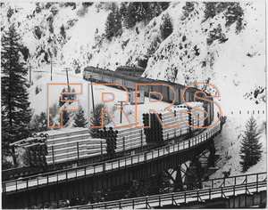 Staff_WP_-_174_R_thumbnail.jpg