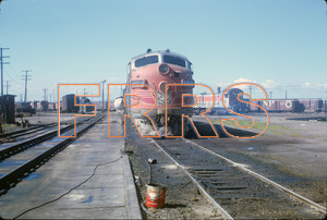 Staff_WP_-_226_R_thumbnail.jpg