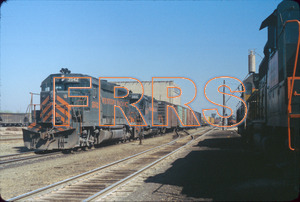 Staff_WP_-_228_R_thumbnail.jpg