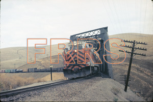 Staff_WP_-_241_R_thumbnail.jpg