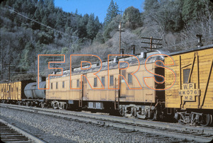 Staff_WP_-_250_R_thumbnail.jpg