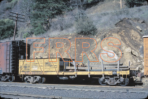 Staff_WP_-_255_R_thumbnail.jpg