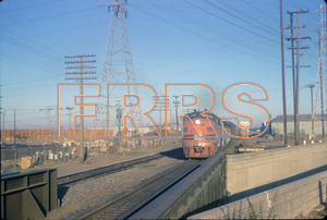 Staff_WP_-_272_R_thumbnail.jpg