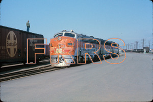 Staff_WP_-_273_R_thumbnail.jpg
