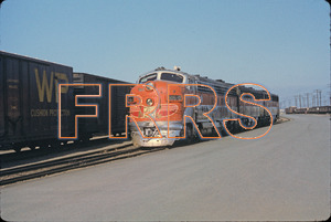 Staff_WP_-_274_R_thumbnail.jpg