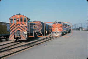 Staff_WP_-_279_R_thumbnail.jpg