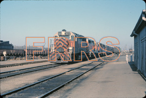 Staff_WP_-_280_R_thumbnail.jpg