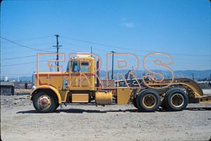 Staff_WP_-_286_R_thumbnail.jpg