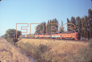 Staff_WP_-_291_R_thumbnail.jpg