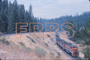 Staff_WP_-_310_R_thumbnail.jpg