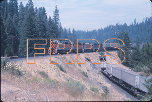 Staff_WP_-_311_R_thumbnail.jpg