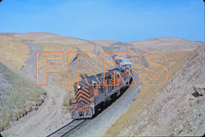 Staff_WP_-_316_R_thumbnail.jpg