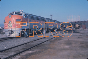 Staff_WP_-_325_R_thumbnail.jpg