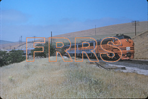 Staff_WP_-_327_R_thumbnail.jpg