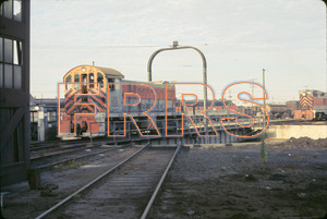 Staff_WP_-_332_R_thumbnail.jpg