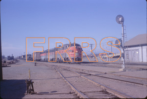 Staff_WP_-_333_R_thumbnail.jpg