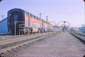 Staff_WP_-_343_R_thumbnail.jpg