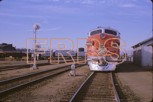 Staff_WP_-_344_R_thumbnail.jpg
