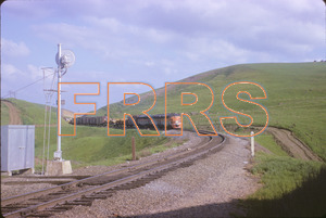 Staff_WP_-_363_R_thumbnail.jpg