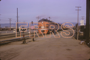 Staff_WP_-_371_R_thumbnail.jpg