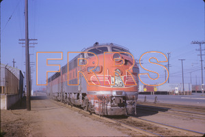 Staff_WP_-_379_R_thumbnail.jpg