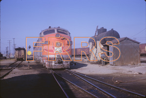 Staff_WP_-_380_R_thumbnail.jpg
