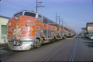 Staff_WP_-_381_R_thumbnail.jpg