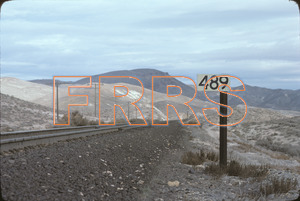 Staff_WP_-_384_R_thumbnail.jpg