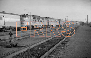 Staff_WP_-_405_R_thumbnail.jpg