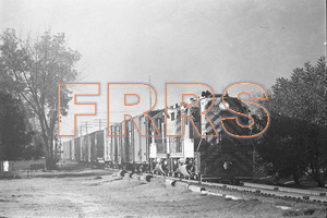 Staff_WP_-_413_R_thumbnail.jpg
