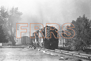 Staff_WP_-_414_R_thumbnail.jpg