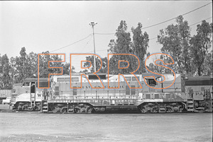 Staff_WP_-_423_R_thumbnail.jpg