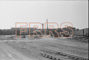 Staff_WP_-_425_R_thumbnail.jpg