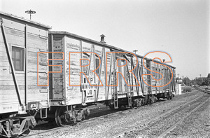 Staff_WP_-_428_R_thumbnail.jpg
