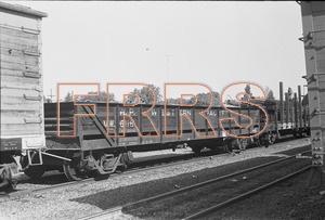 Staff_WP_-_430_R_thumbnail.jpg