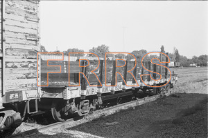Staff_WP_-_433_R_thumbnail.jpg