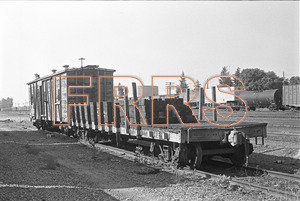 Staff_WP_-_434_R_thumbnail.jpg