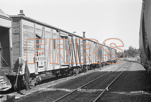 Staff_WP_-_437_R_thumbnail.jpg
